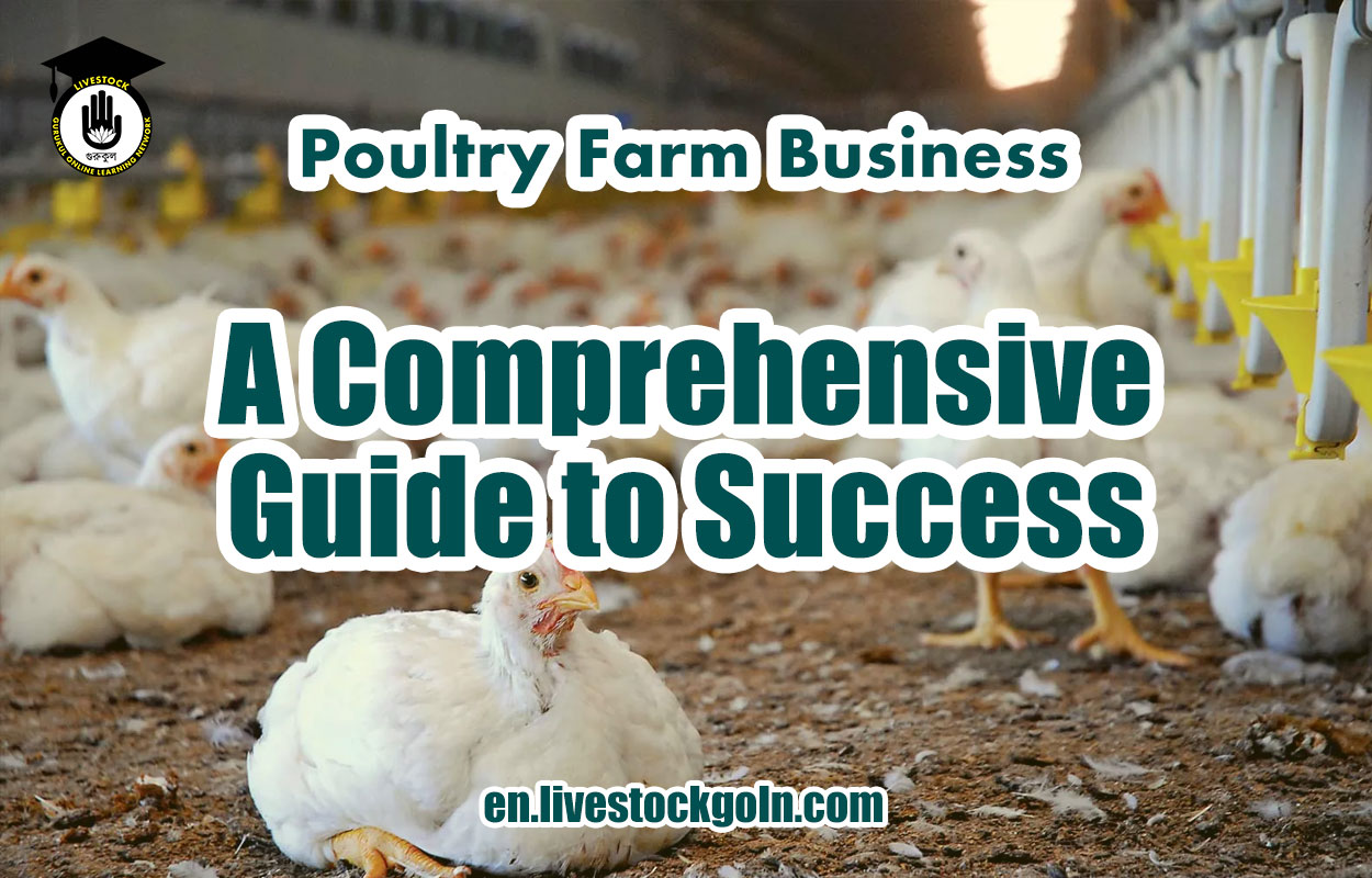 Poultry Farm Business: A Comprehensive Guide to Success